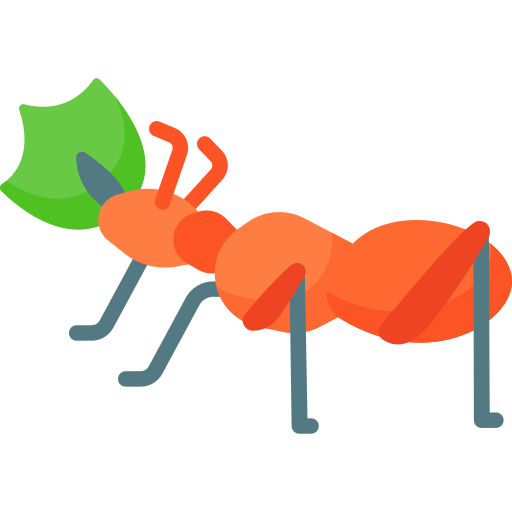 Короед